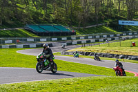 Middle Group Green Bikes
